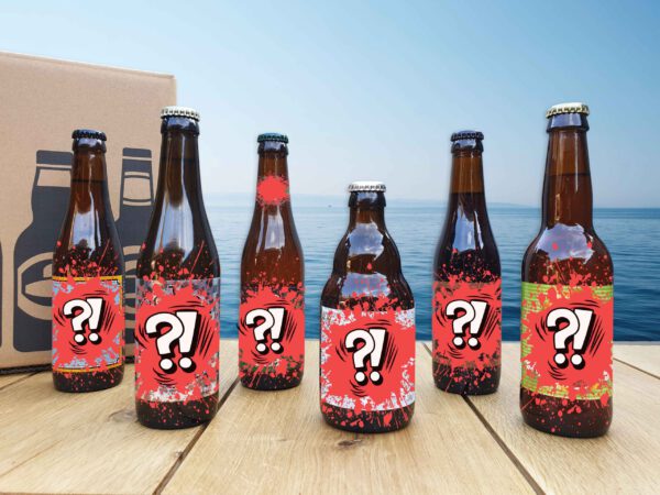 Beer Surprise Package (6 bottles)