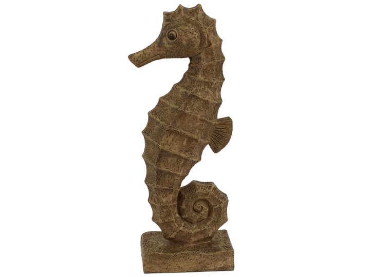 Seahorse 25 cm