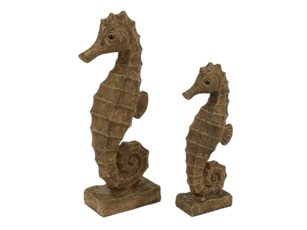 Seahorse 25 cm