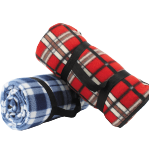 Picknickkleed geruit 130x150 cm blauw rood